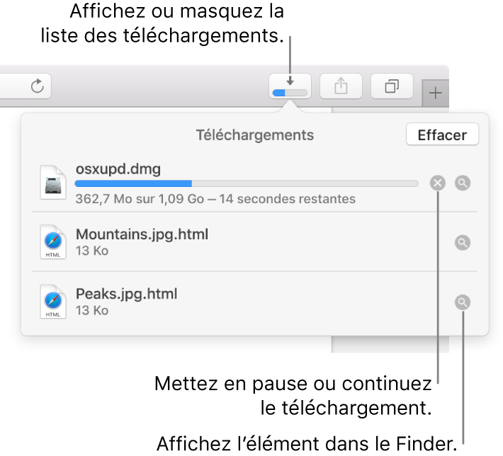 Le bouton Téléchargements de la barre d’outils, avec la liste de téléchargements sous celui-ci.