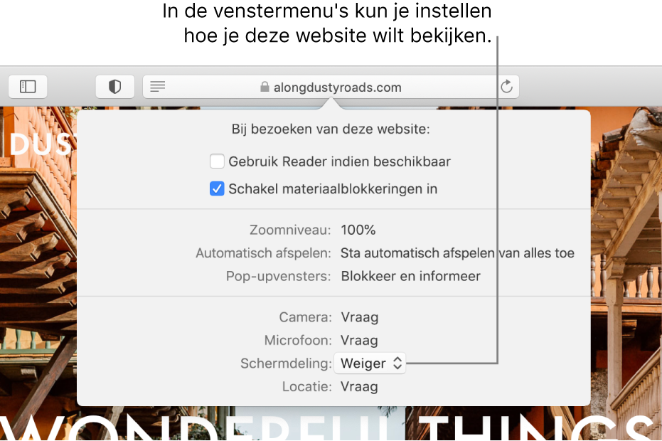 Het dialoogvenster dat onder het slimme zoekveld verschijnt wanneer je 'Safari' > 'Instellingen voor deze website' kiest. Het dialoogvenster bevat opties waarmee je kunt bepalen hoe je de huidige website bekijkt, waaronder het gebruik van de Reader en het inschakelen van materiaalblokkeringen.