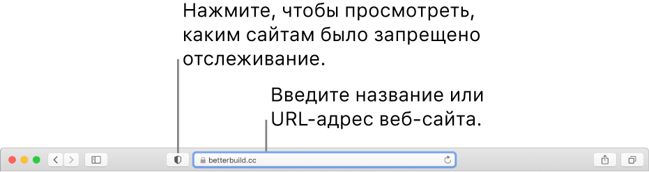 В панели инструментов Safari показана кнопка отчета о конфиденциальности и веб-сайт в поле смарт-поиска.