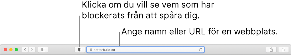 Safari-verktygsfältet som visar knappen för integritetsrapport och en webbplats i det smarta sökfältet.