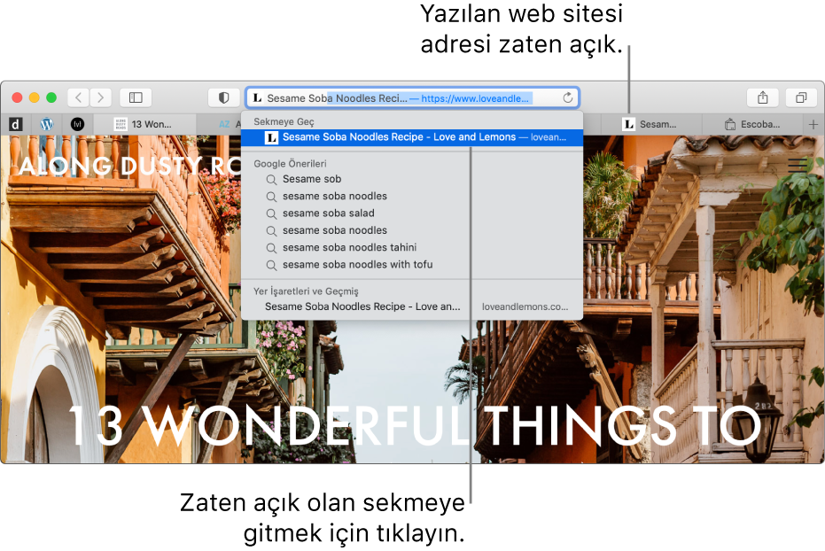 Akıllı Arama alanına girilen bir web sitesi adresinin ilk bölümünü içeren Safari penceresi. Aynı web sitesi, başka bir sekmeden zaten açık olduğundan Sekmeye Geç altındaki sonuçlar listesinde görünür.