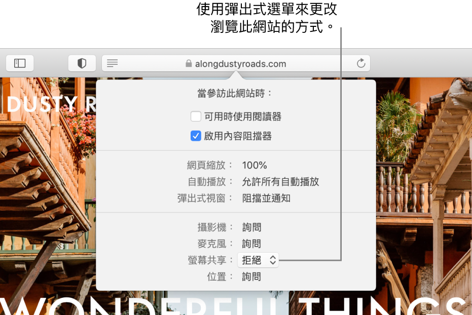 當您選擇 Safari >「此網站的設定」時，顯示在「智慧型搜尋」欄位下方的對話框。對話框中包含選項，可讓您自訂如何瀏覽目前的網站，包含使用「閱讀器」顯示方式、啟用內容阻擋器等。