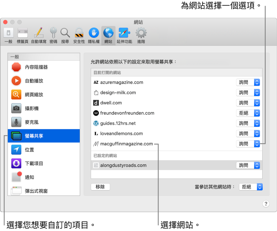 Safari 偏好設定的「網站」面板，您可以在此自訂個別網站的瀏覽方式。