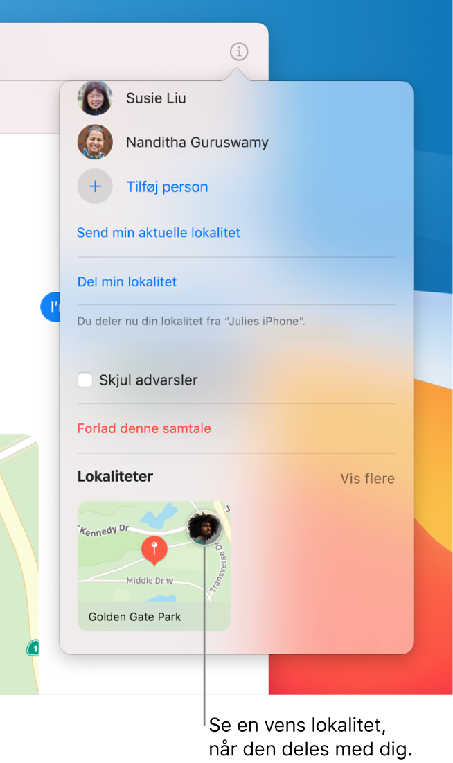Oversigten Oplysninger med et kort nederst. Du kan se symbolet for den ven, der har delt sin lokalitet med dig.