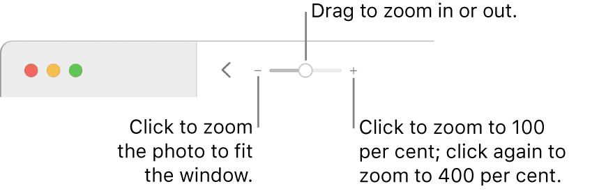 The toolbar showing zoom controls.