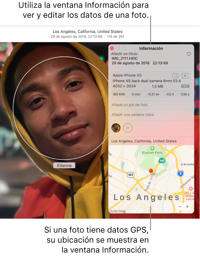 La ventana de información de una foto.
