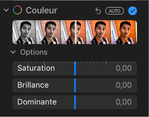 La zone Couleur de la sous-fenêtre Ajuster présentant les curseurs Saturation, Brillance et Dominante.