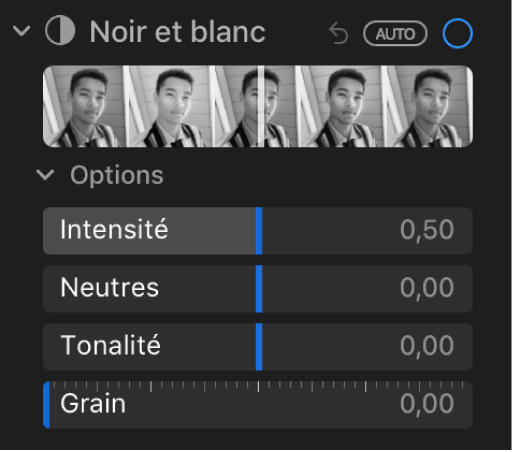 La zone Noir et blanc de la sous-fenêtre Ajuster présentant les curseurs Intensité, Neutres, Ton et Grain.