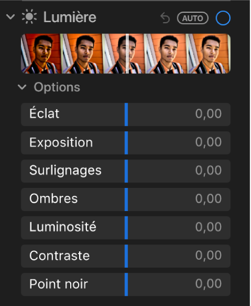 La zone Clarté de la sous-fenêtre Ajuster présentant les curseurs Brillance, Exposition, Tons clairs, Ombres, Luminosité, Contraste et Point noir.