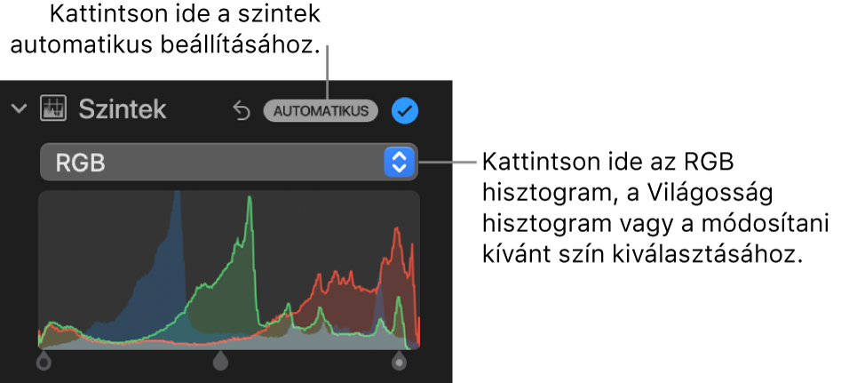 A Beállítás panel szintek vezérlői, az Automatikus gombbal a jobb felső sarokban, és az alatta elhelyezkedő RGB-hisztogrammal.