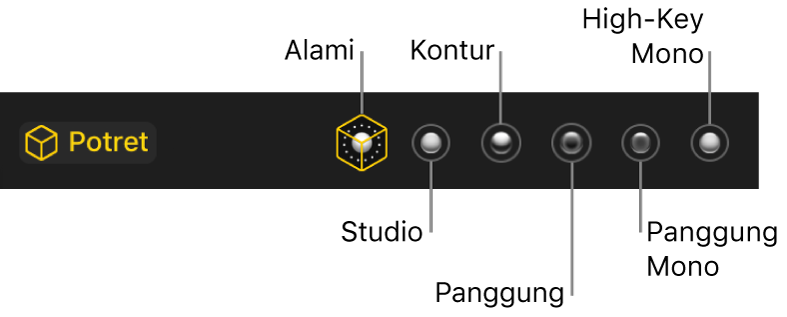 Pilihan efek pencahayaan mode potret, termasuk (dari kiri ke kanan) Alami, Studio, Kontur, Panggung, Panggung Mono, High-Key Mono.