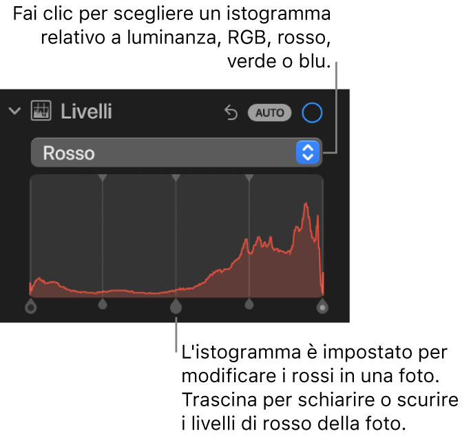 I controlli di Livelli nel pannello Regola, che mostrano l'istogramma Rosso con le maniglie al di sotto per regolare i livelli di rosso della foto.