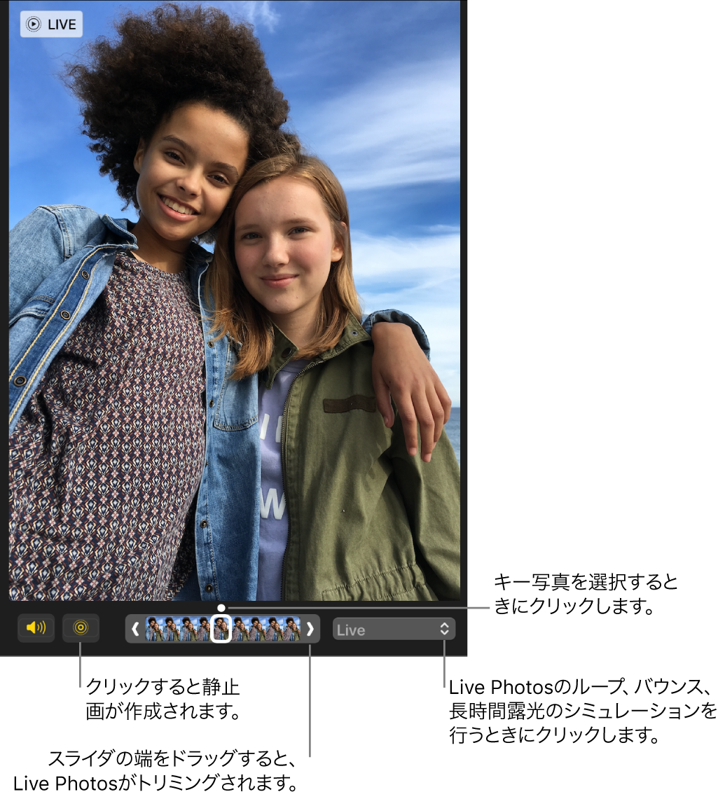 編集ビューのLive Photos。下にスライダがあり、写真のフレームが表示されています。スライダの左には「Live Photos」ボタンと「スピーカー」ボタンがあり、右には、ループ、バウンス、または長時間露光のエフェクトを追加するために使用できるポップアップメニューがあります。