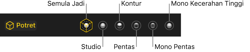 Pilihan kesan pencahayaan mod Potret, termasuk (dari kiri ke kanan) Semula Jadi, Studio, Kontur, Pentas, Pentas Mono dan Mono Kecerahan Tinggi.