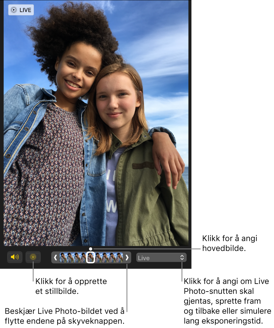 Et Live Photo-bilde i redigeringsvisning med en skyveknapp under som viser bildene i bildet. Live Photo-knappen og Høyttaler-knappen er til venstre for skyveknappen, og til høyre er det en lokalmeny du kan bruke til å legge til en sløyfe-, fram og tilbake- eller lang eksponering-effekt.
