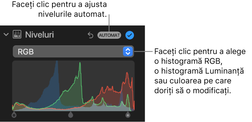 Comenzile Niveluri în panoul Ajustare, cu butonul Automat în partea din dreapta sus și histograma RGB dedesubt.