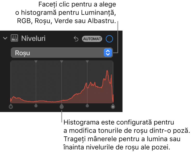 Comenzile Niveluri în panoul Ajustare, afișând histograma Roșu cu mânerele dedesubt pentru ajustarea nivelurilor de roșu ale pozei.