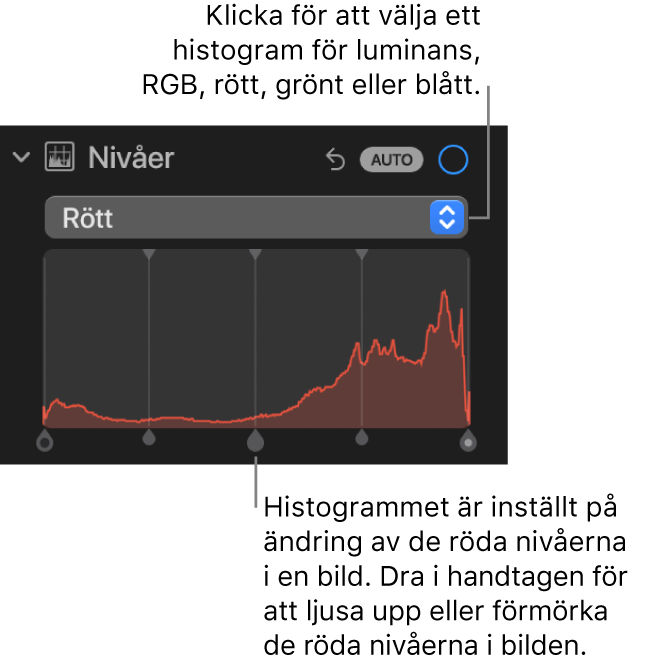 Nivåreglagen på panelen Justera med det röda histogrammet och handtag nedanför till att justera de röda nivåerna i bilden.