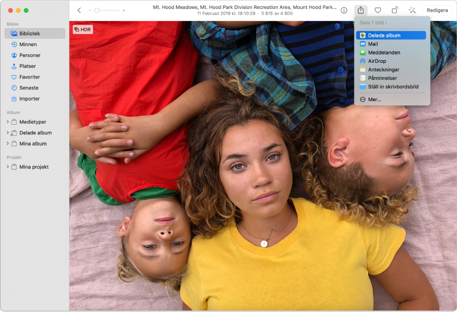 Bilder-fönstret med en bild och delningsmenyn med kommandot Delade album valt.