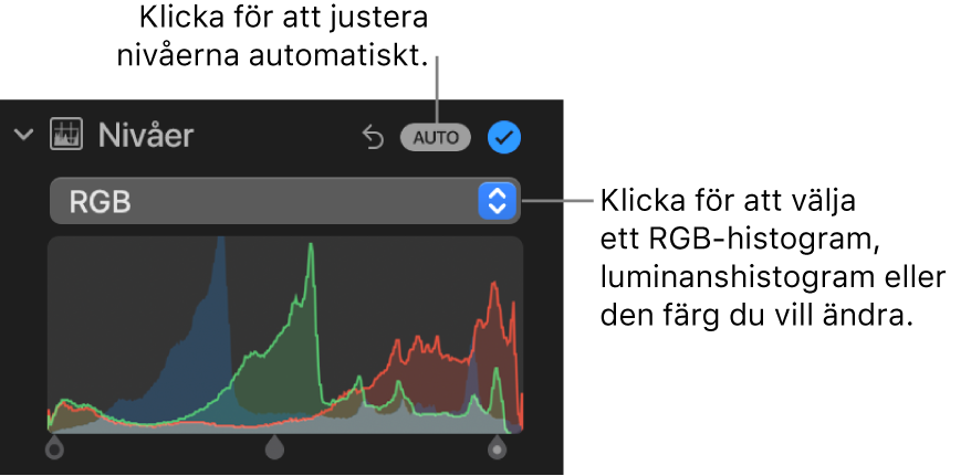 Nivåreglagen på panelen Justera med Auto-knappen högst upp till höger och RGB-histogrammet nedanför.