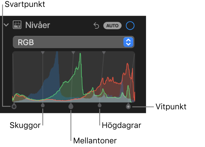 Nivåreglagen på panelen Justera med RGB-histogrammet och handtag nedanför med (från vänster till höger) svartpunkt, skuggor, mellantoner, högdagrar och vitpunkt.