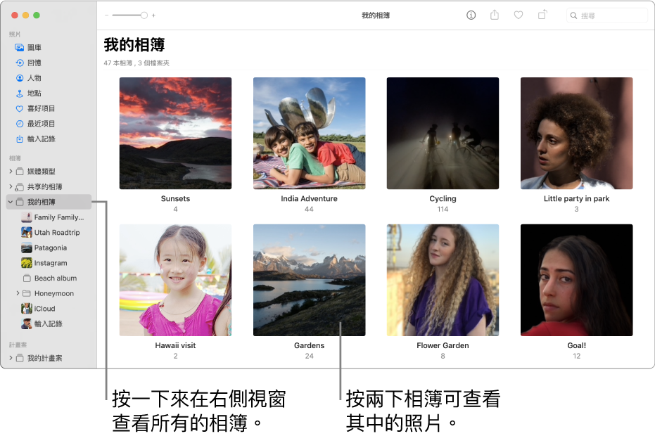 「照片」視窗的側邊欄中選取了「我的相簿」，您已製作的相簿會顯示在右側的視窗中。