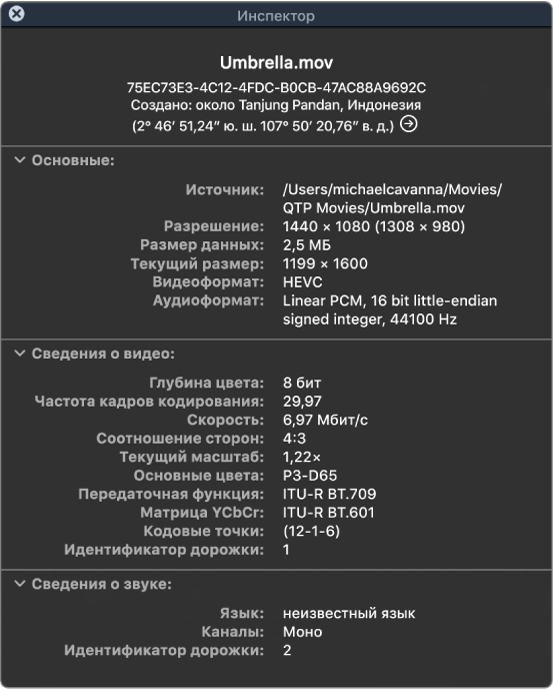 Инспектор фильма отображает общую информацию о файле, включая разрешение, размер данных, а также формат видео и аудио. В окне также показаны параметры видео и аудио выбранного файла.