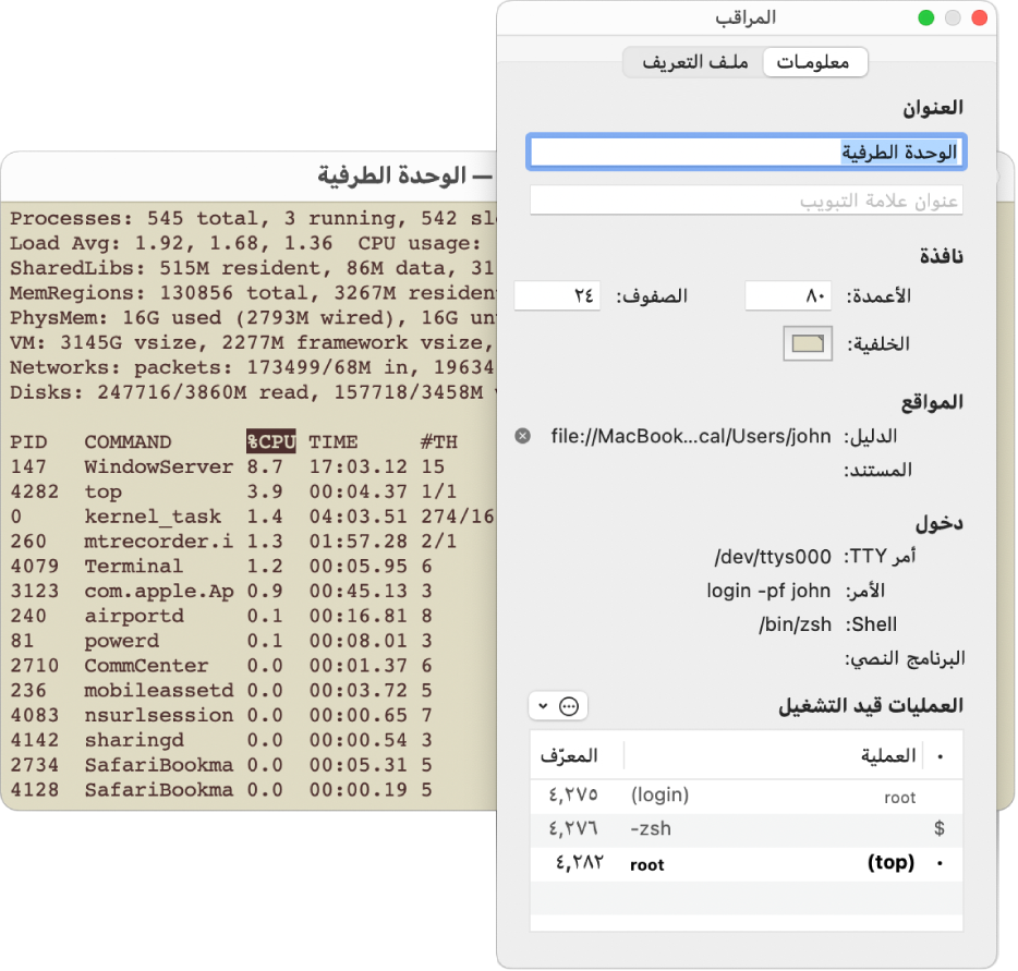 جزء المراقب في الوحدة الطرفية.