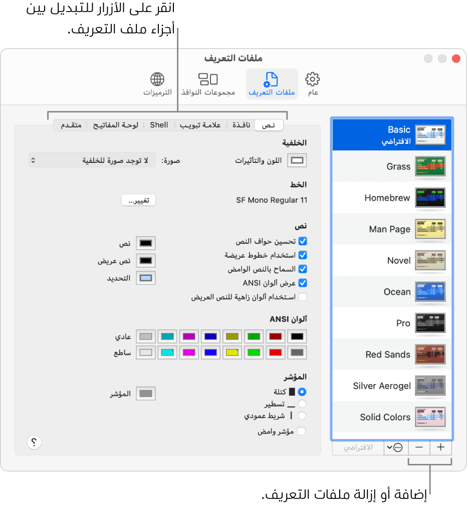 جزء ملفات تعريف الوحدة الطرفية يعرض ملف التعريف "Basic" وقد تم تحديده، وأزرار إضافة ملفات تعريف وإزالتها، والأزرار المستخدمة للتبديل بين أجزاء ملفات التعريف.