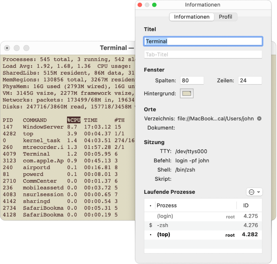 Der Bereich „Informationen“ in Terminal