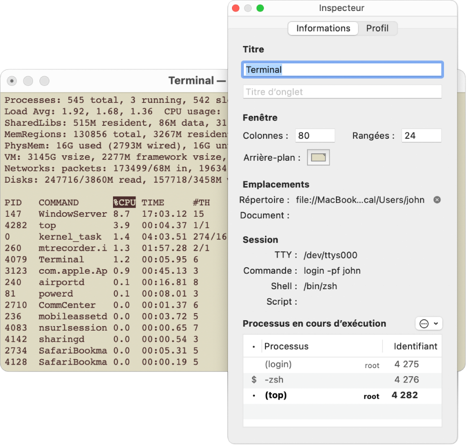 La sous-fenêtre Inspecteur dans Terminal.