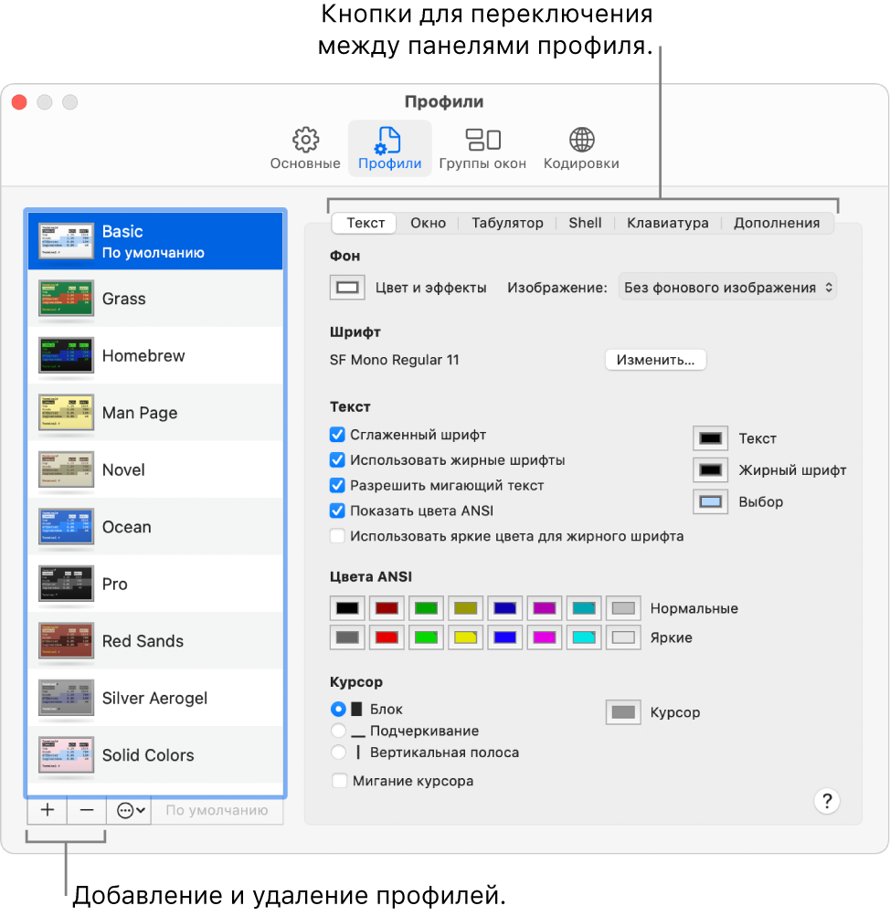 Панель «Профили» в настройках Терминала. Отображаются: выбранный профиль Basic, кнопки добавления и удаления профилей и кнопки для переключения панелей профилей.