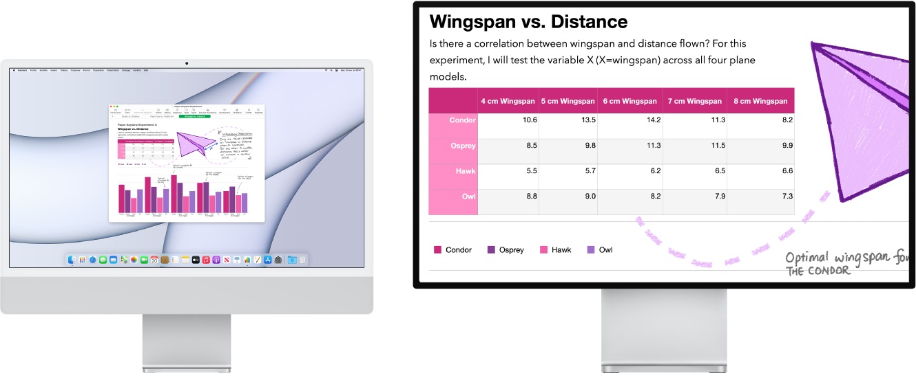 L’écran Zoom est actif sur l’écran secondaire tandis que la taille de l’écran reste fixe sur l’iMac.