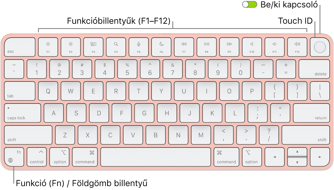 A Touch ID-val rendelkező Magic Keyboard, felül a funkcióbillentyűk sorával és a Touch ID-val, a bal alsó sarokban pedig a funkció (Fn)/földgömb billentyűvel.