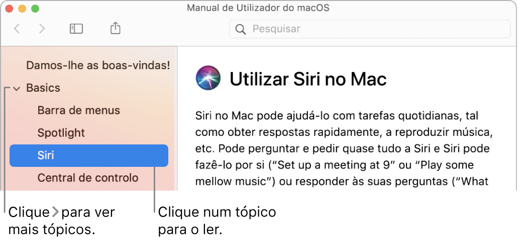 Visualizador da Ajuda a mostrar a forma de visualizar tópicos listados na barra lateral e como apresentar o conteúdo de um tópico.