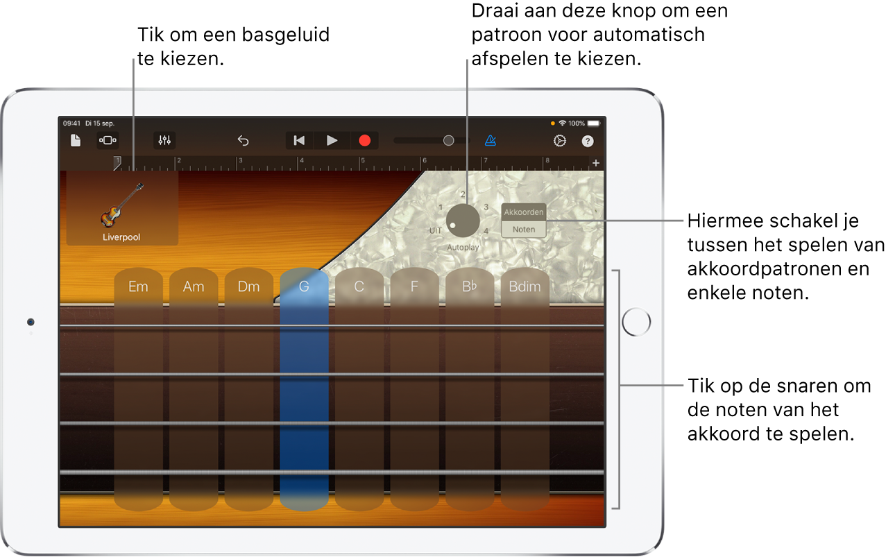 Touch-instrument Bas