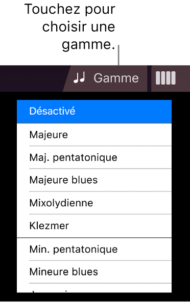 Bouton Gamme de cordes et liste de gammes