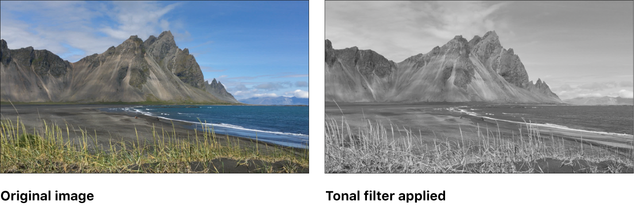 Canvas showing effect of Tonal filter