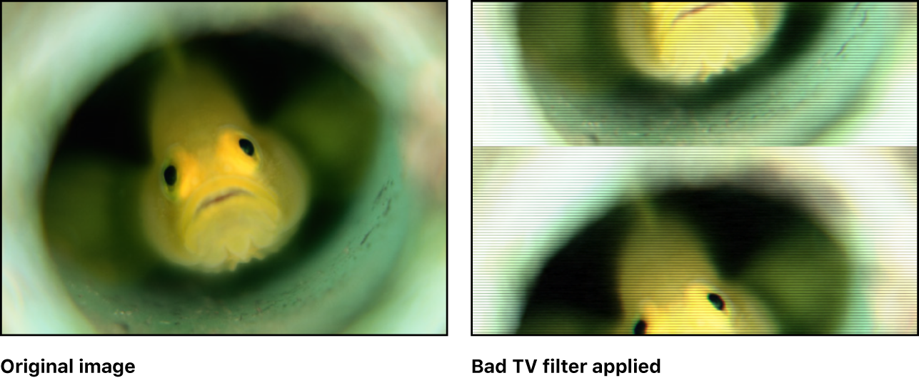 Lienzo con efecto del filtro “Distorsión televisiva”