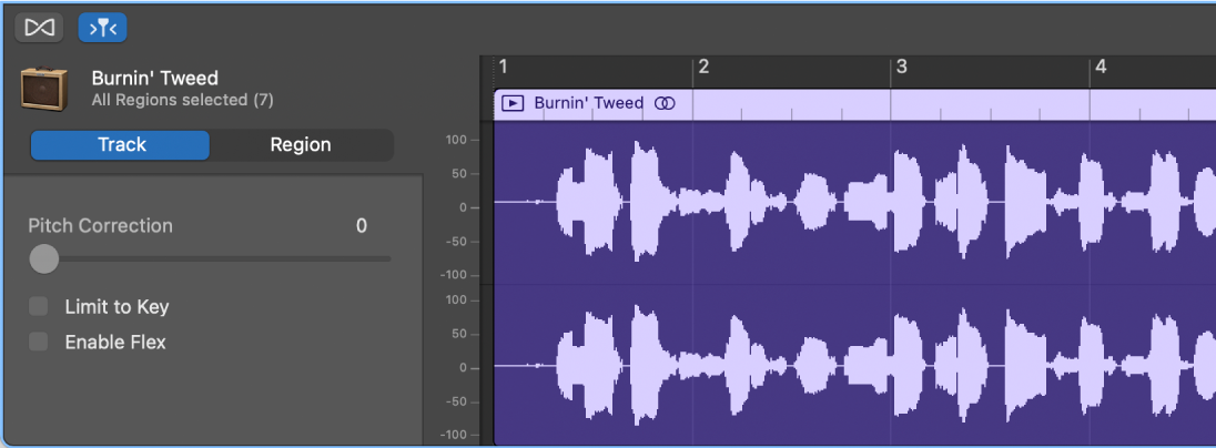 Audio Editor inspector showing Track controls.