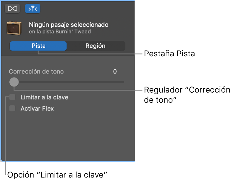 Inspector del editor de audio en modo Pista, con el regulador “Corrección de tono” y la casilla “Limitar a la clave”.