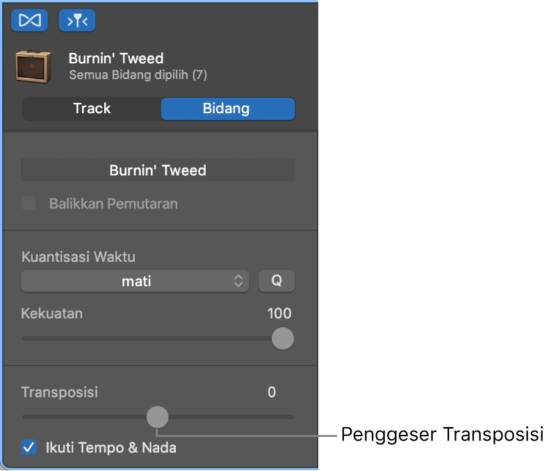 Inspektur Editor Audio dalam mode Bidang, yang menampilkan penggeser Transposisi.