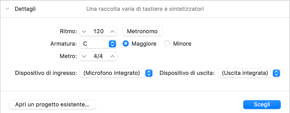 Area dettagli del selettori progetto aperto, con i parametri.