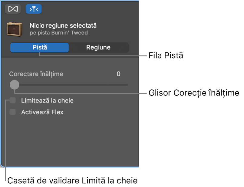 Inspectorul Editor audio în modul Pistă, afișând glisorul Corectare înălțime și caseta de validare Limitează la cheie.