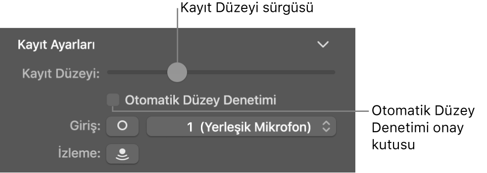 Smart Controls denetçisindeki Kayıt Düzeyi sürgüsü ve Otomatik Düzey Denetimi onay kutusu.