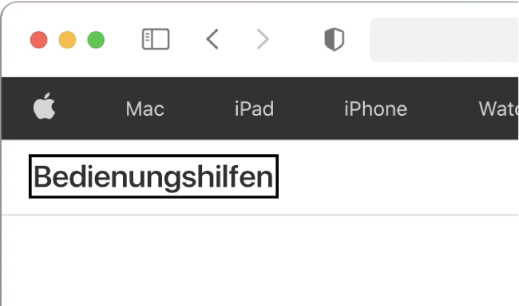 Der VoiceOver-Cursor, ein dunkler rechteckiger Rahmen, der auf dem Wort „Bedienungshilfen“ auf dem Bildschirm fokussiert ist.