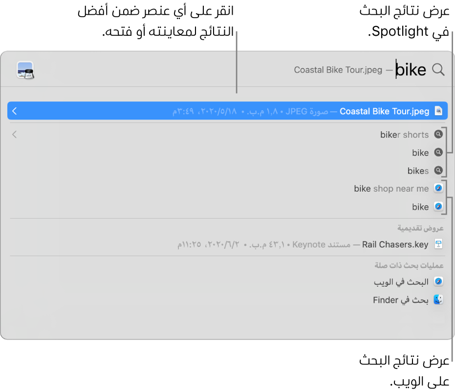 نافذة Spotlight تُظهر نص بحث في حقل البحث في أعلى النافذة والنتائج أدناه.