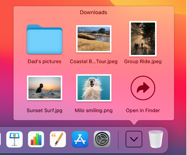 The Downloads stack in the Dock opened to show its contents in a grid.