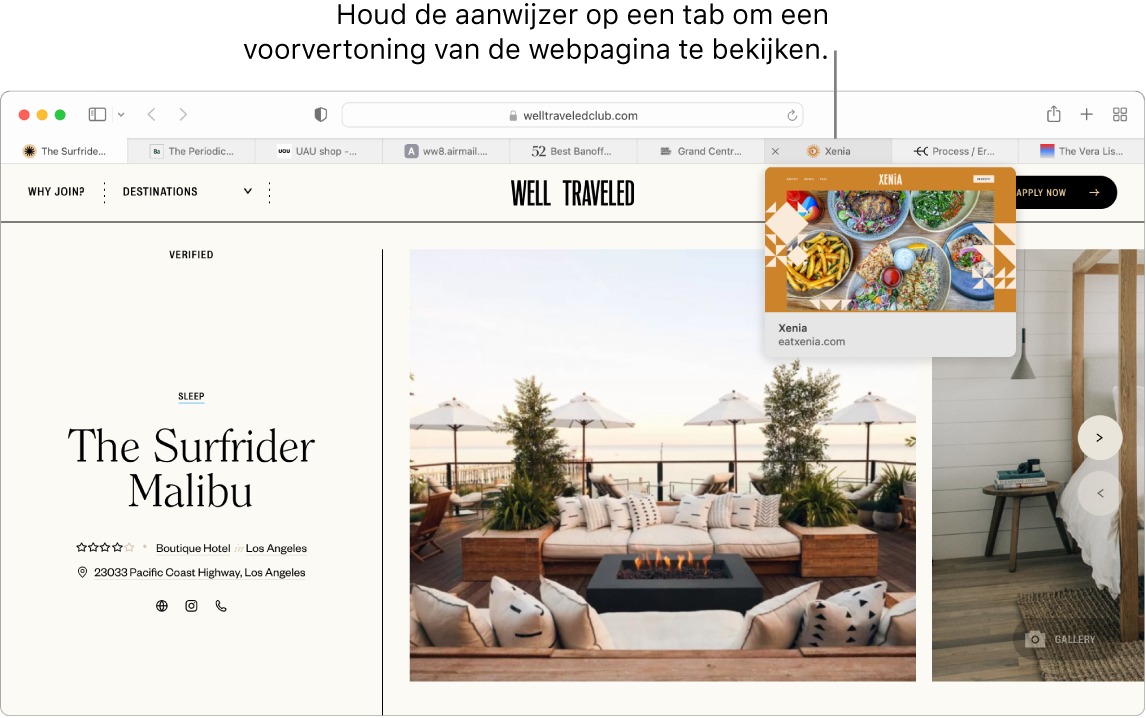 Een Safari-venster met een actieve webpagina getiteld "Well Traveled" en negen andere tabbladen. Een bijschrift verwijst naar een voorvertoning van het tabblad "Grand Central Market" met de tekst "Houd de aanwijzer op een tab om een voorvertoning van de webpagina te bekijken".