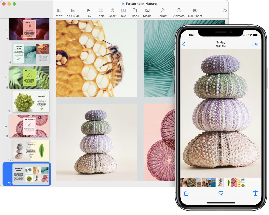 iPhone ที่แสดงรูปภาพ ถัดไปมี Mac ที่แสดงรูปภาพเดียวกันหลังจากถูกวางลงในเอกสาร Pages